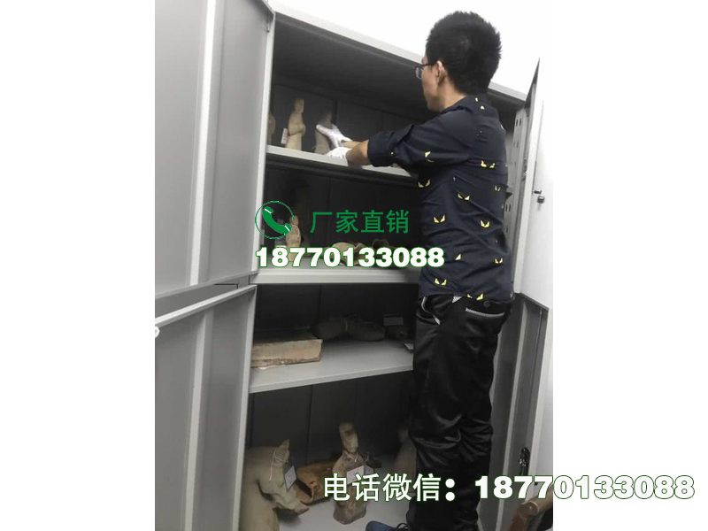 若羌县博物院文物存储柜