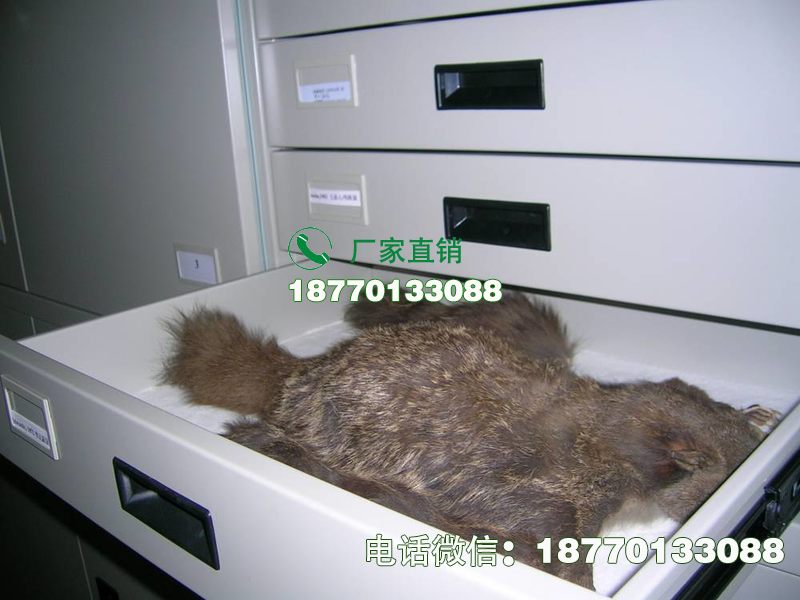 青阳县动物标本密集柜